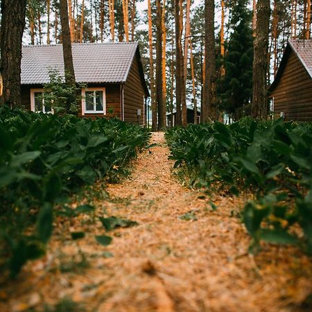 Duck Lake Villa Polatsk Eksteriør bilde