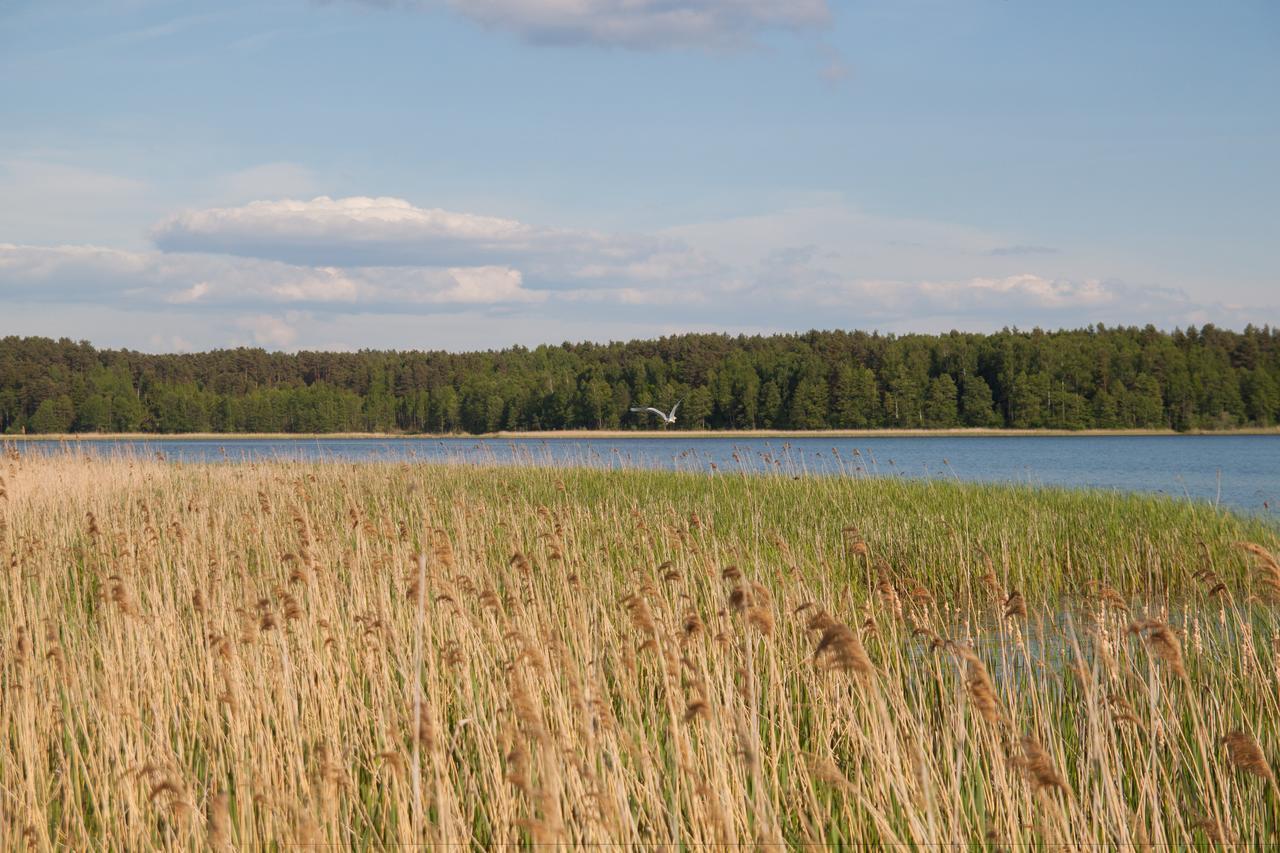 Duck Lake Villa Polatsk Eksteriør bilde